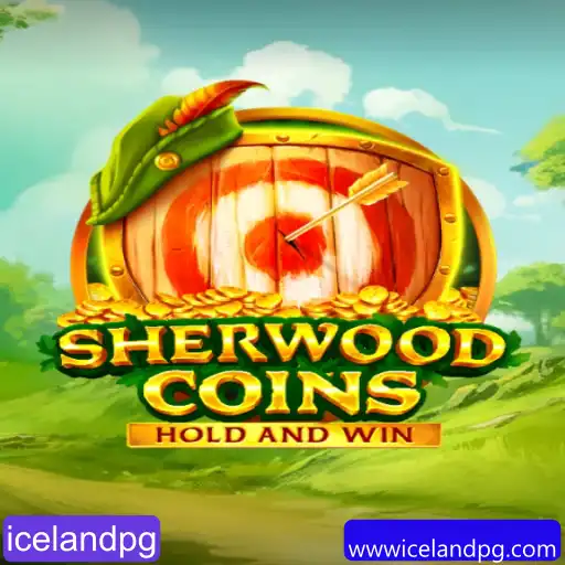 icelandpg Promoções